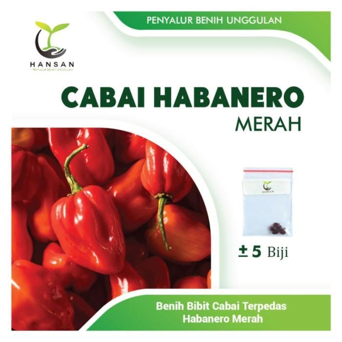 Agen Habanero Populer untuk Semua Penikmat Pedas