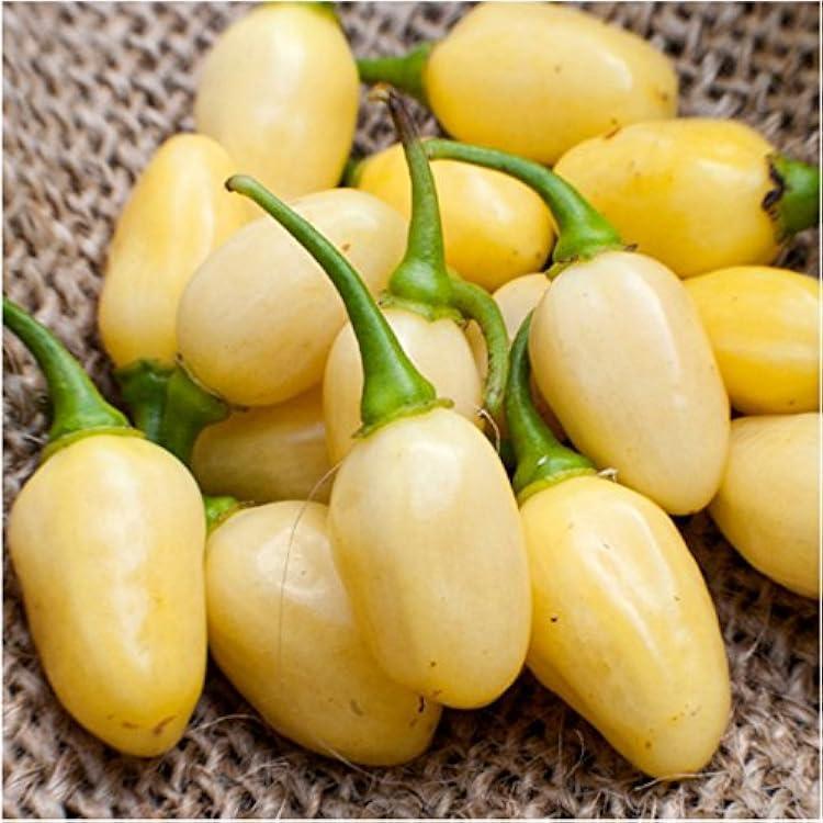 Keuntungan Menggunakan Habanero BRI untuk Kebutuhan Keuangan Anda